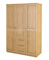 Шкаф Эко-2